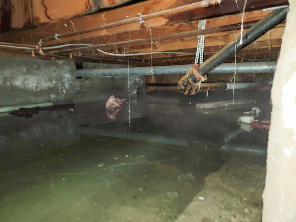 Best Flooded house restoration  in Midland, WA