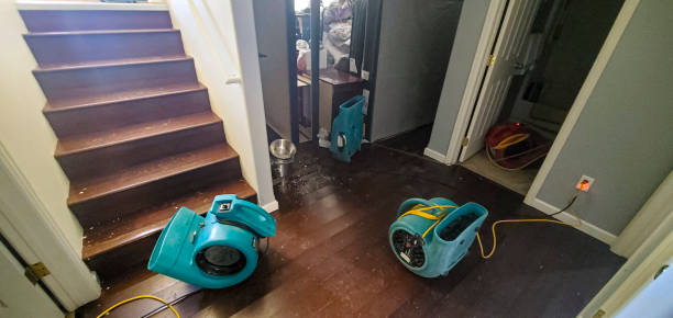 Best Local water damage restoration  in Midland, WA