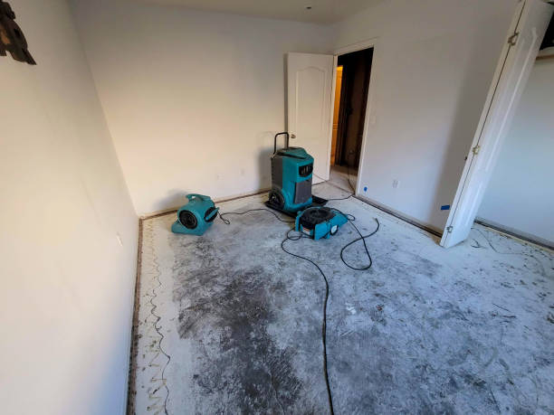 Best Professional water damage repair  in Midland, WA