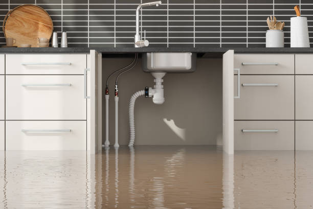 Best Fire Damage Restoration  in Midland, WA