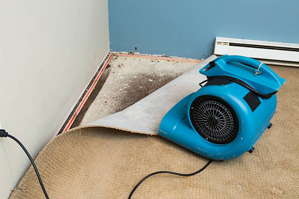 Best Ceiling water damage repair  in Midland, WA